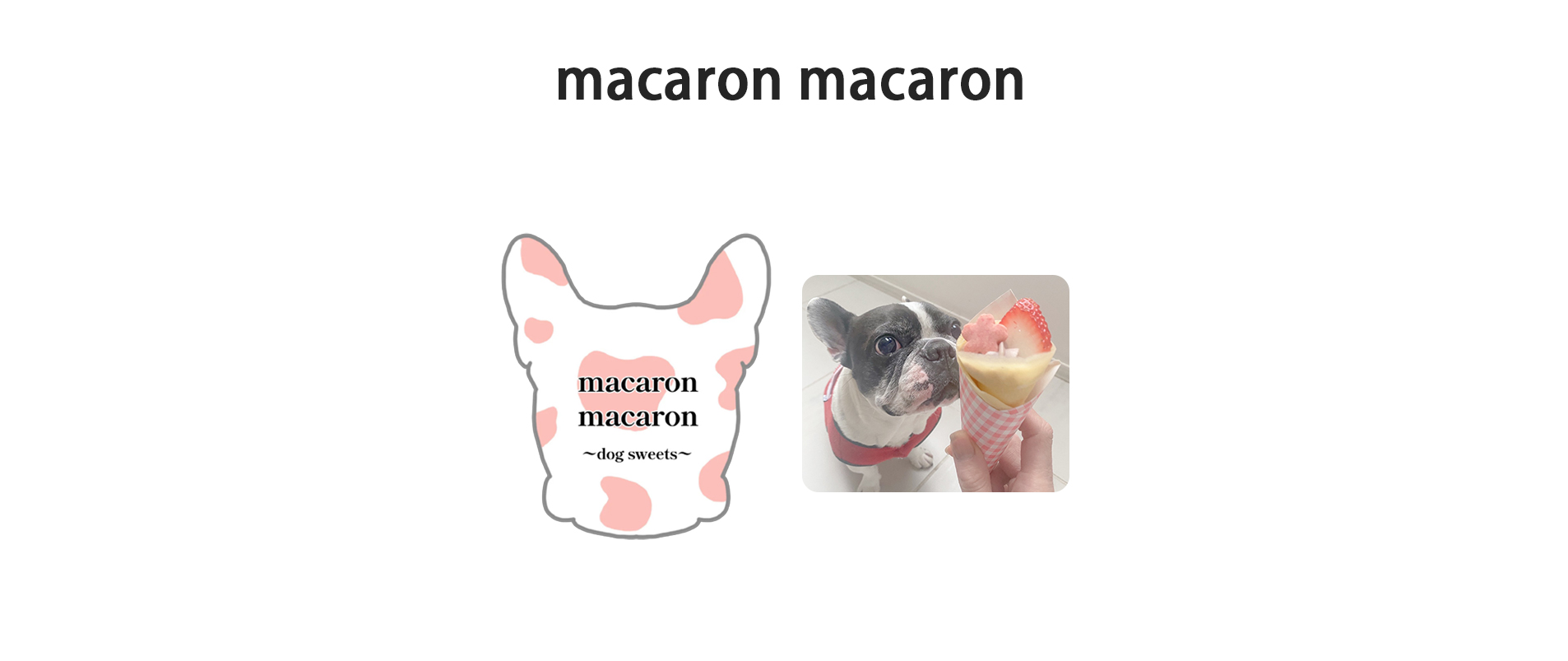 macaron macaron
