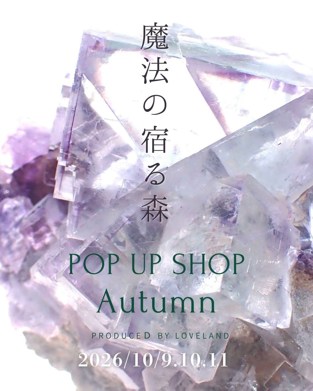 クリスタル展「魔法の宿る森」